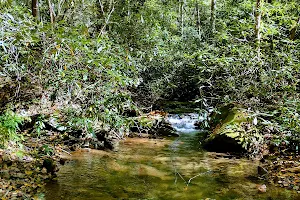 Bear Creek image