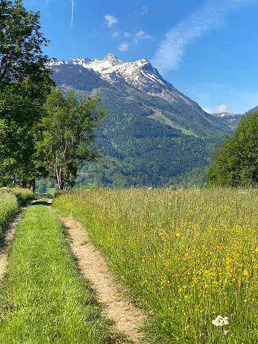 Altran à Faverges