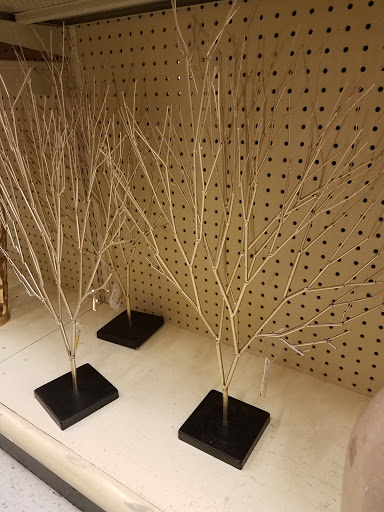 Craft Store «Hobby Lobby», reviews and photos, 8370 Agora Pkwy, Selma, TX 78154, USA