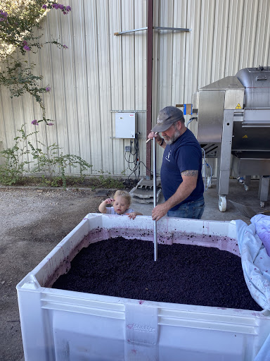 Winery «Kerrville Hills Winery», reviews and photos, 3600 Fredericksburg Rd, Kerrville, TX 78028, USA