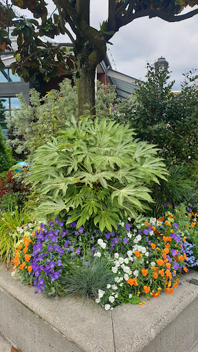 Computer Store «Apple University Village», reviews and photos, 2656 NE University Village St, Seattle, WA 98105, USA