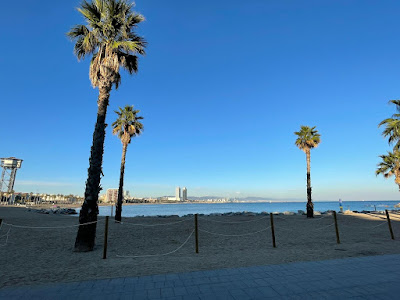 Ipanema à Lyon