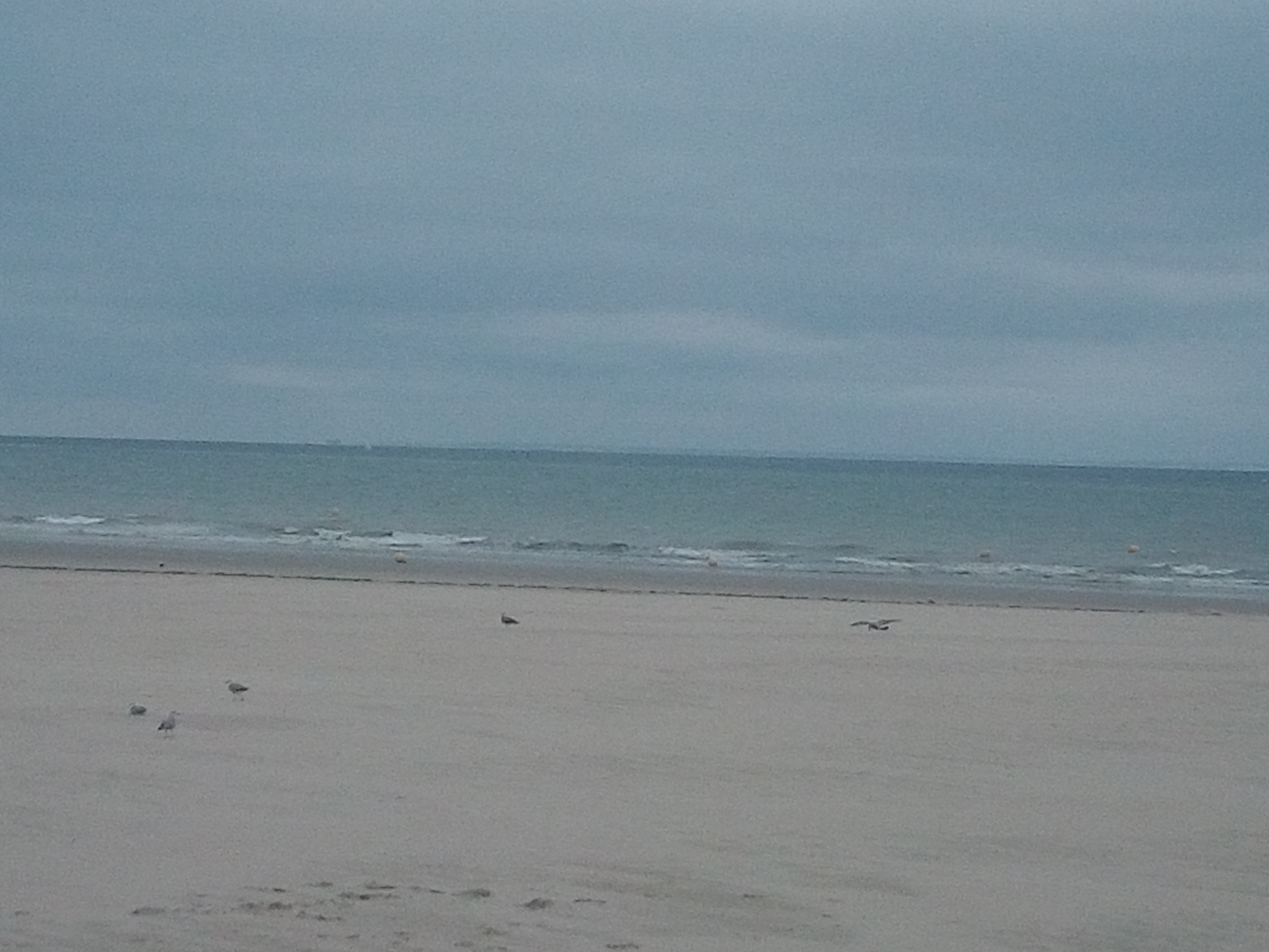 Photo n° 1 de l'avis de Mimie.b fait le 28/07/2019 à 13:14
