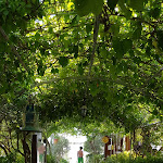Photo n°4 de l'avis de Lino.a fait le 21/08/2020 à 21:51 sur le  Lido Puerto Escondido à San Nicola Arcella