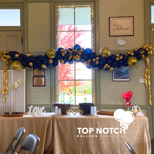 Auditorium «Chelsea Depot Association Inc», reviews and photos, 125 Jackson St, Chelsea, MI 48118, USA