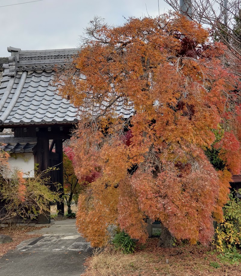 亀京寺