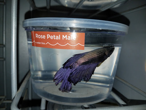 Pet Supply Store «Petco Animal Supplies», reviews and photos, 240 Upland Square Dr, Stowe, PA 19464, USA