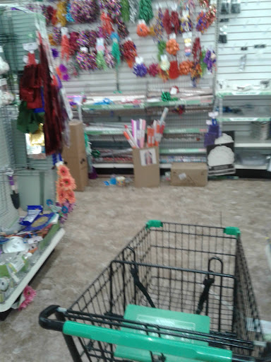 Dollar Store «Dollar Tree», reviews and photos, 2301 North Point Blvd, Dundalk, MD 21222, USA