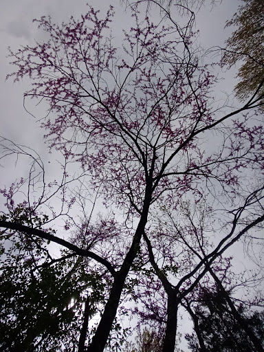 State Park «Taylorsville Lake State Park», reviews and photos, 1320 Park Rd, Mt Eden, KY 40046, USA