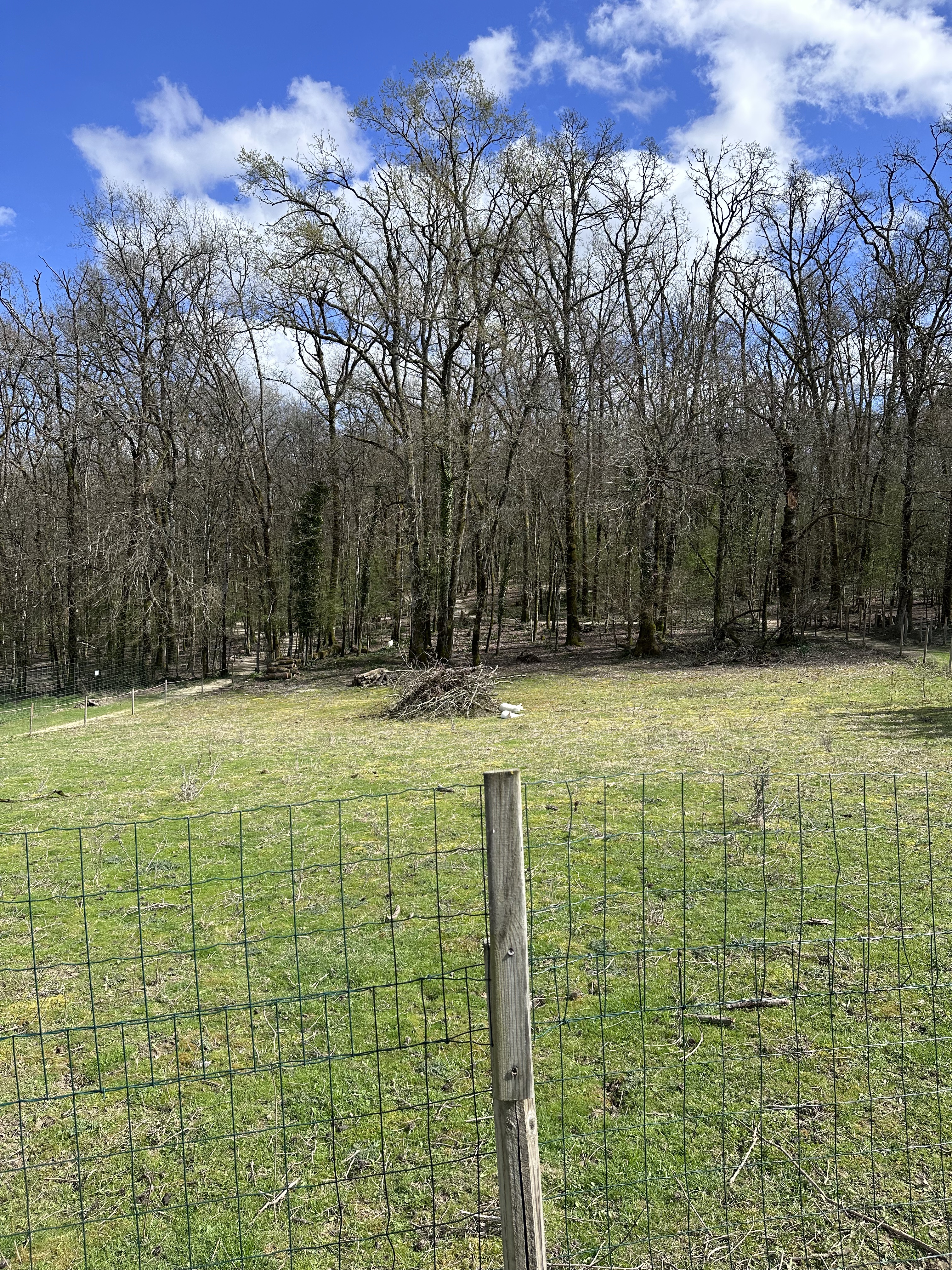 Photo n° 22 de l'avis de Victoria. fait le 25/03/2023 à 17:18