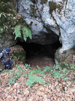 Grotte de Coulzonne à Roquefixade