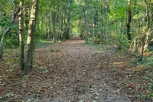 Bondy Forest image
