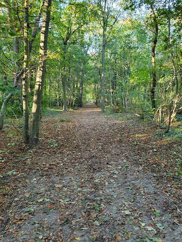 Forêt de Bondy à Coubron