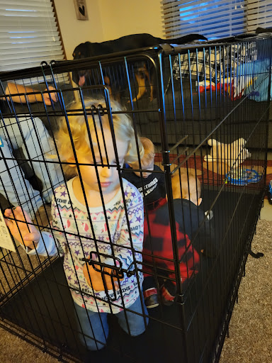 Pet Supply Store «Bethel Feed & Supply Pet & Garden Center», reviews and photos, 528 W Plane St, Bethel, OH 45106, USA