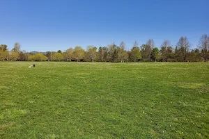 Minto-Brown Island Dog Park image