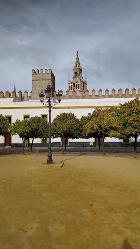 Tourist office Seville