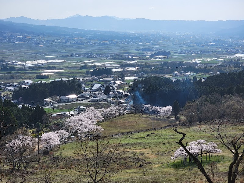 観音桜公園芝生広場（展望所）