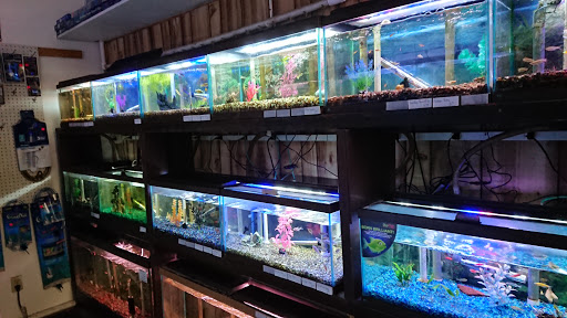 Pet Store «Aquatic Pets», reviews and photos, 414 Division St S, Northfield, MN 55057, USA