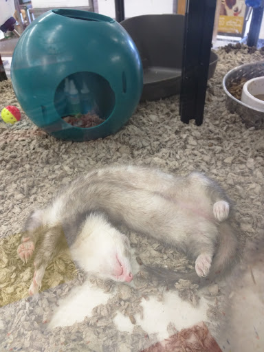 Pet Supply Store «Petco Animal Supplies», reviews and photos, 1090 Fort Union Blvd, Midvale, UT 84047, USA