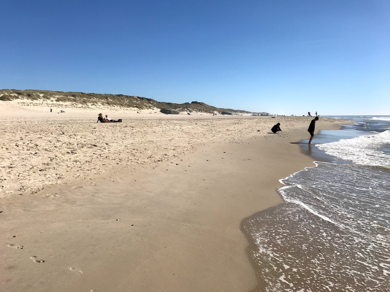 Sondervig Beach photo #8