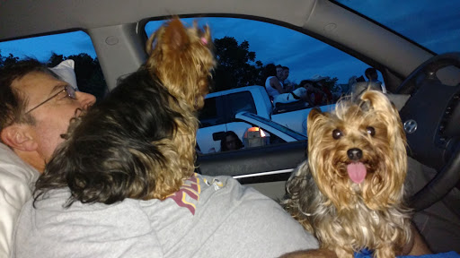 Event Planner «The Family Drive in Theatre», reviews and photos, 5890 Valley Pike, Stephens City, VA 22655, USA