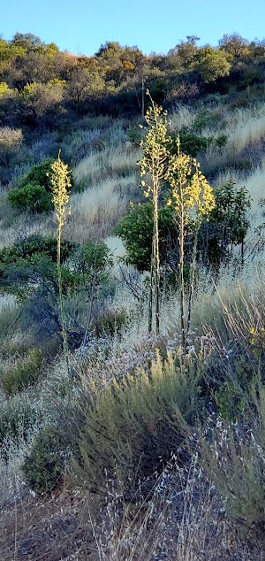 Triunfo Park - photo 54