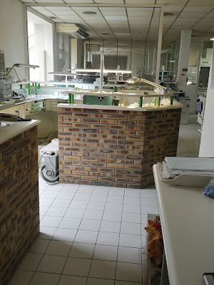 Laboratoire prothèses dentaire à Argenton-sur-Creuse