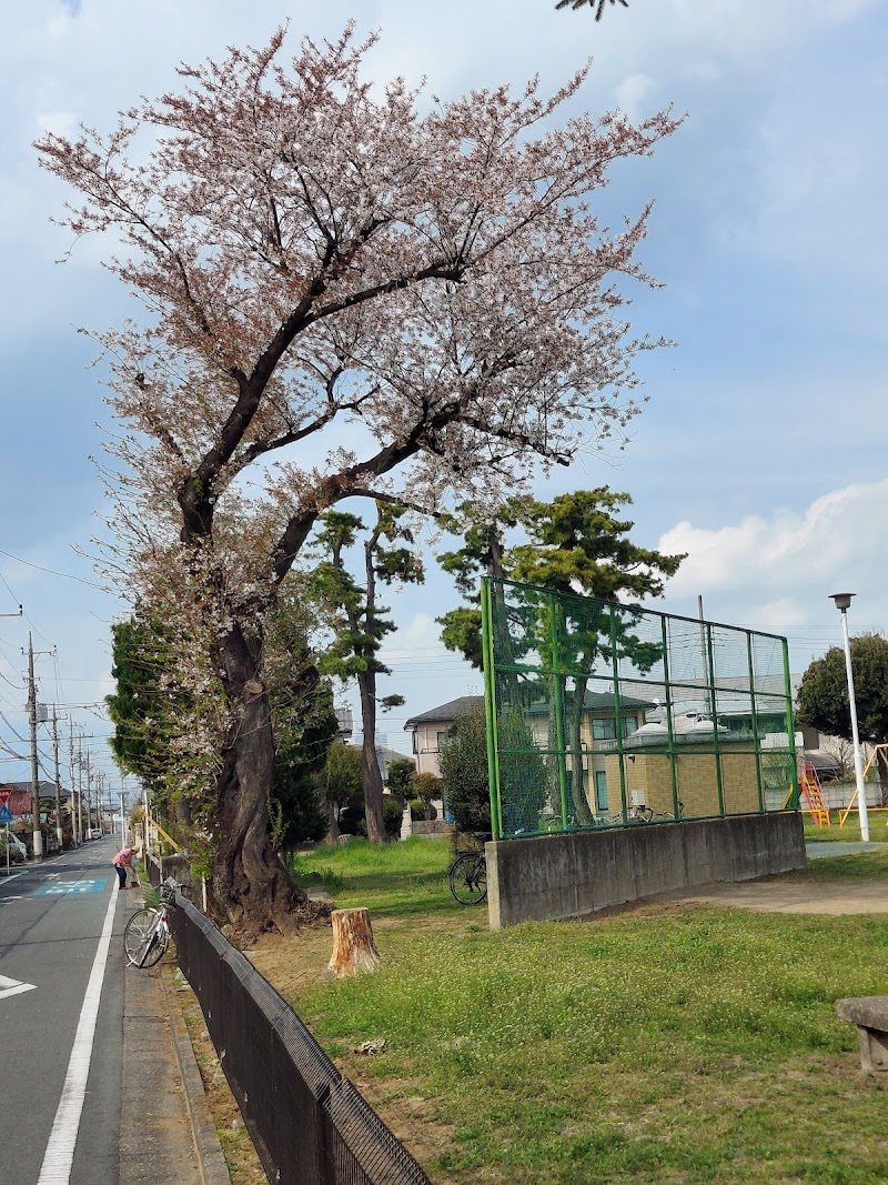 大利根中央公園