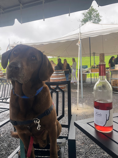 Keuka Spring Vineyards