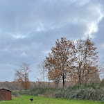 Photo n° 2 de l'avis de Enzo.r fait le 04/12/2023 à 23:18 pour Les Grands Étangs à Millançay