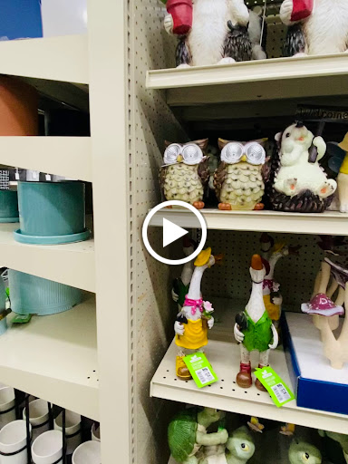 Discount Store «Big Lots», reviews and photos, 751 Good Homes Rd, Orlando, FL 32818, USA