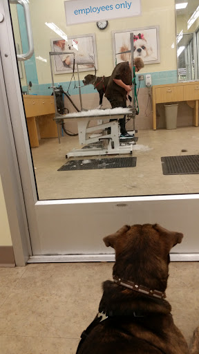 Pet Supply Store «Petco Animal Supplies», reviews and photos, 190 Quality Dr, Hooksett, NH 03106, USA