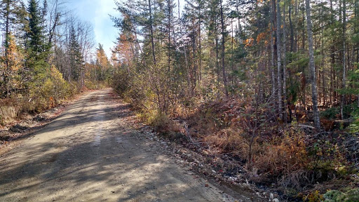 Real Estate Agency «First Choice Real Estate», reviews and photos, 46 North St, Houlton, ME 04730, USA