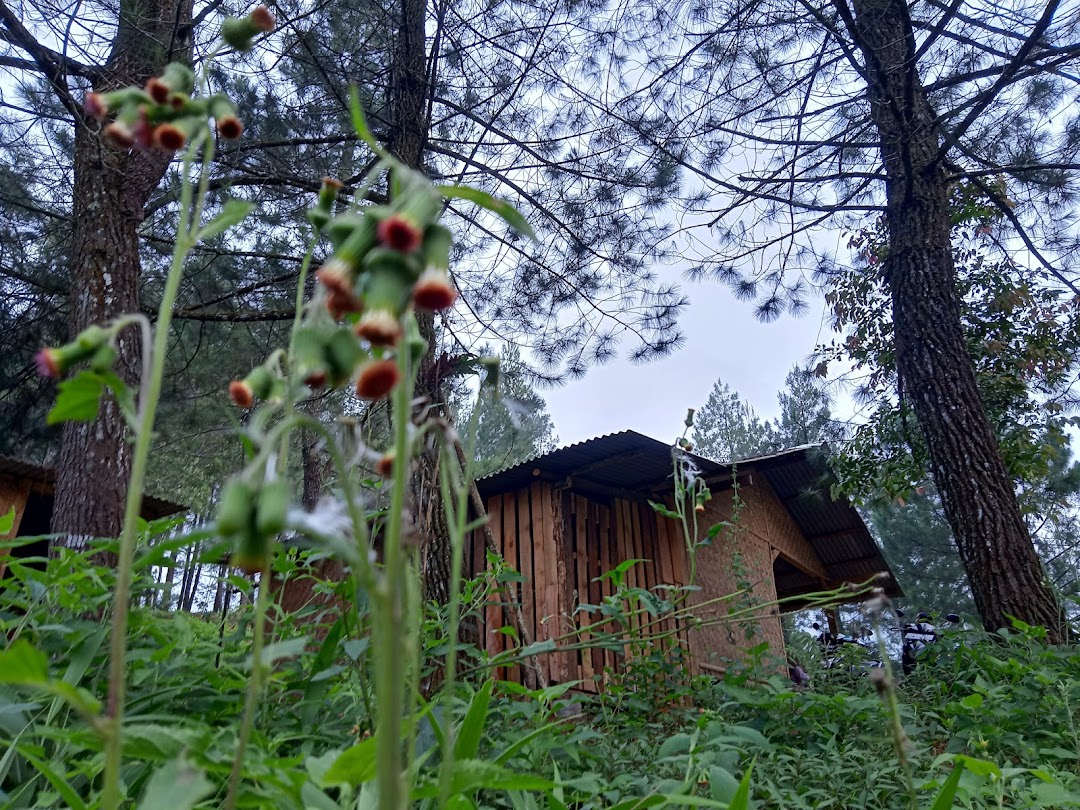 Bukit Pinus Paseban Camp.