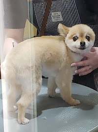 はぴねす
