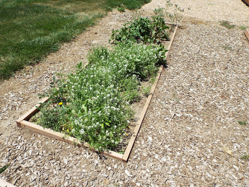 Non-Profit Organization «Kearney Family YMCA», reviews and photos, 4500 6th Ave, Kearney, NE 68845, USA