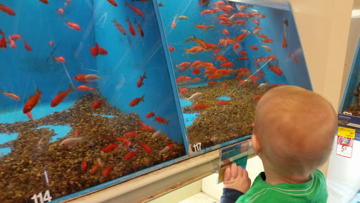 Pet Supply Store «PetSmart», reviews and photos, 2997 Max Ave, Bozeman, MT 59718, USA