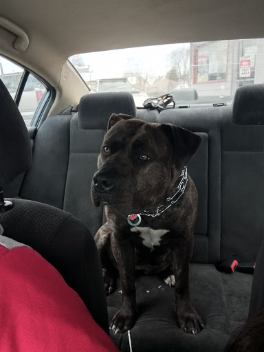 Auto Parts Store «Advance Auto Parts», reviews and photos, 4015 52nd St, Kenosha, WI 53142, USA