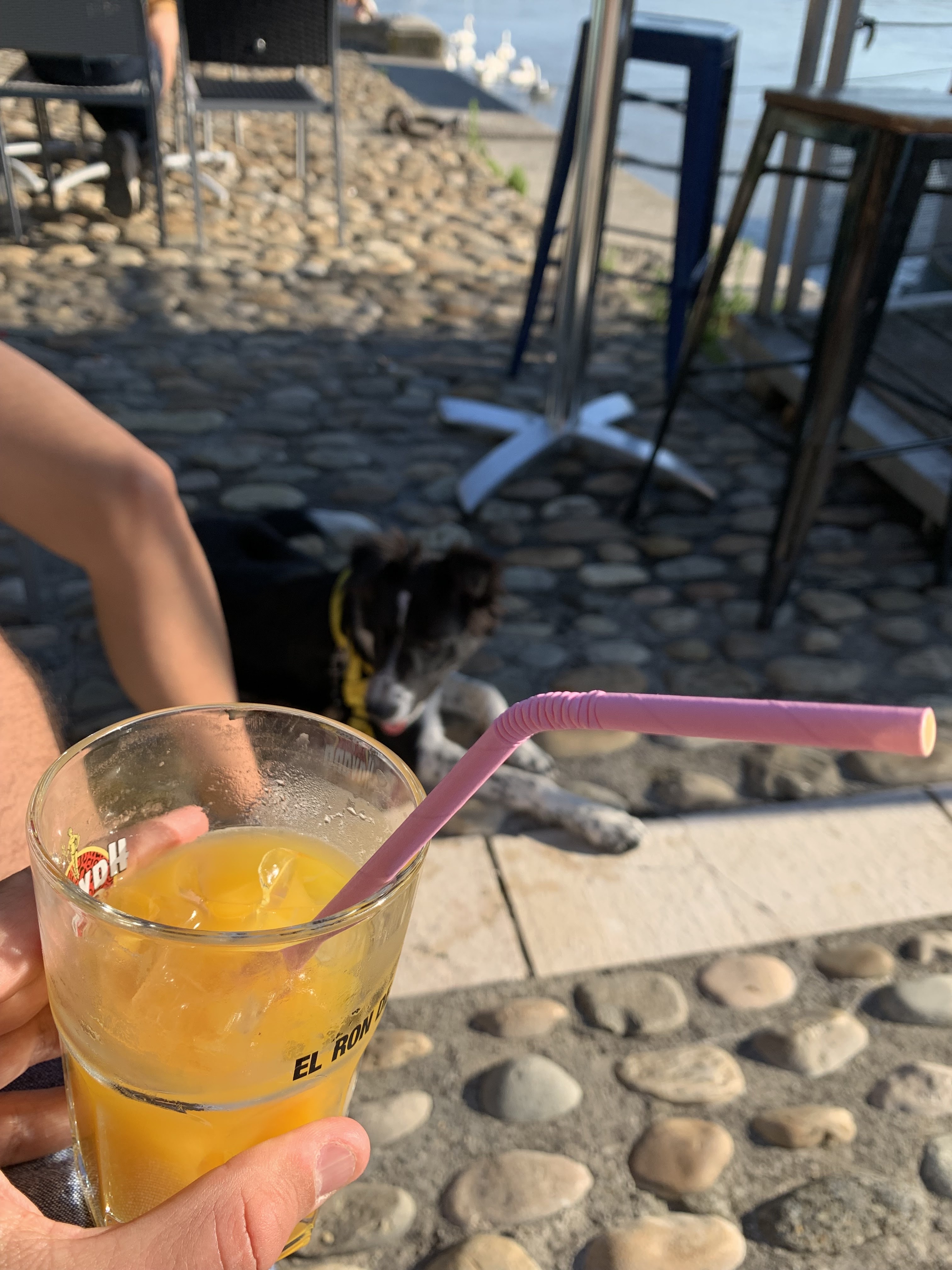 Photo n° 1 de l'avis de Julien.a fait le 11/07/2021 à 22:32