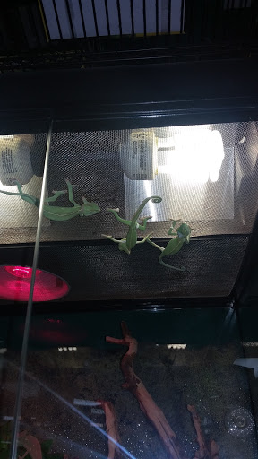 Pet Store «Pets Plus», reviews and photos, 5054 Old Taylor Mill Rd, Taylor Mill, KY 41015, USA