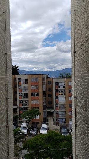 Arboleda del Seminario - photo 1