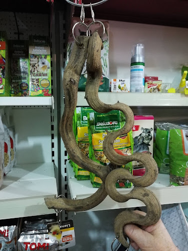 Opinii despre Arca Pet în Iași - Veterinar
