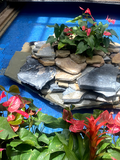 Clothing Store «Nike», reviews and photos, 8687 N Central Expy, Dallas, TX 75225, USA