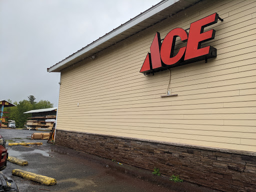 ace hardware