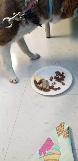 Pet Supply Store «Natural Pet Center», reviews and photos, 3037 13th Ave S, Fargo, ND 58103, USA