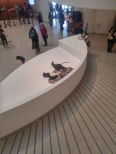 Modern Art Museum «Solomon R. Guggenheim Museum», reviews and photos, 1071 5th Ave, New York, NY 10128, USA