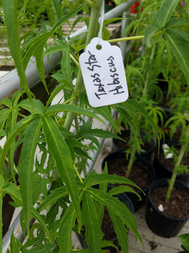 Produce Market «Southside Produce Co Inc», reviews and photos, 8240 Perkins Rd, Baton Rouge, LA 70810, USA