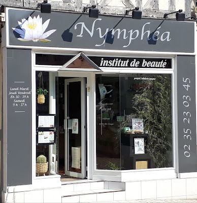 Nymphéa à Pont-de-l'Arche