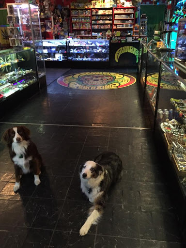 Tobacco Shop «Ashes Smoke Shop Denton», reviews and photos, 420 S Carroll Blvd #105, Denton, TX 76201, USA