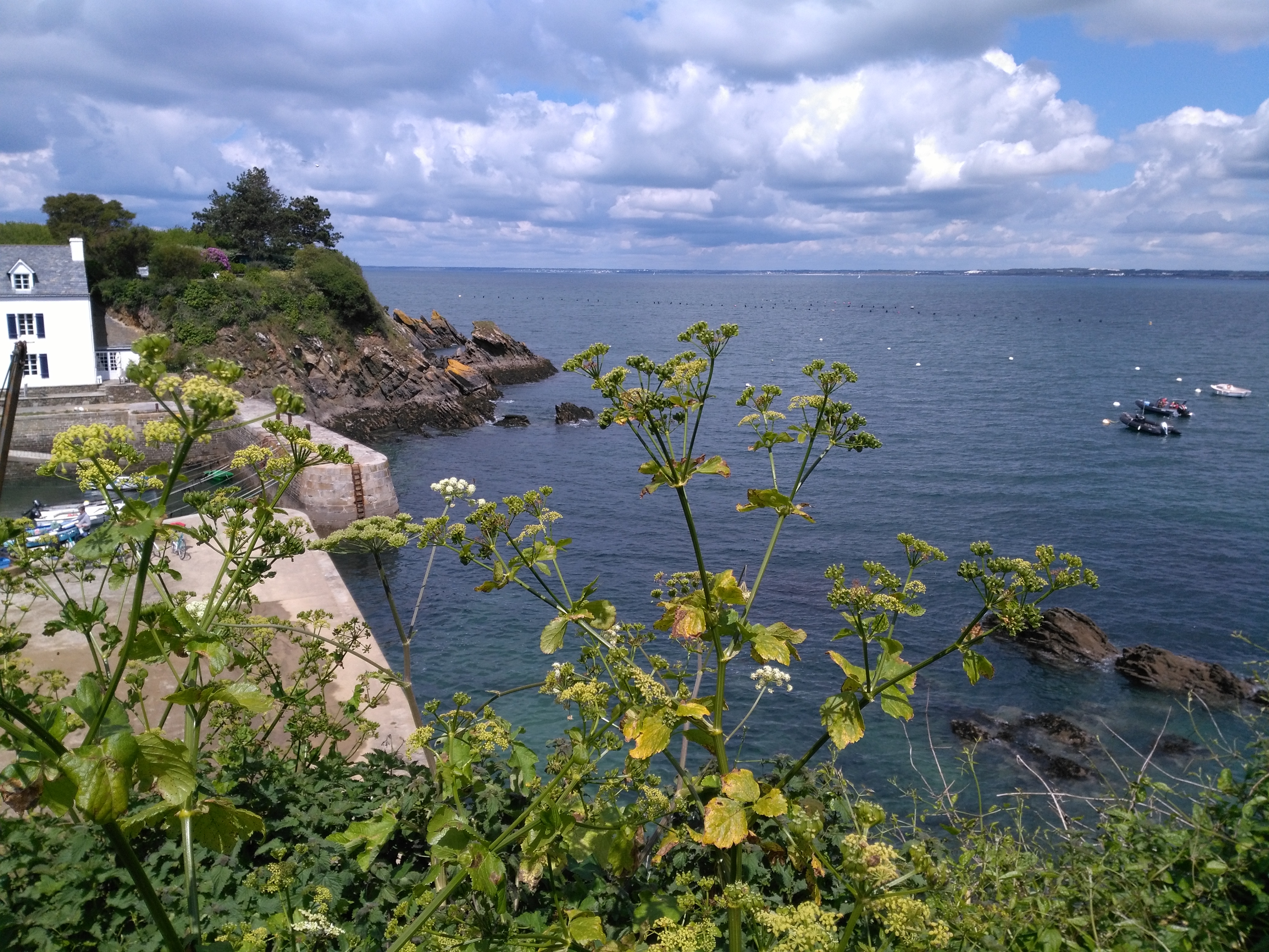 Photo n° 1 de l'avis de Ombeline.c fait le 13/05/2019 à 17:52